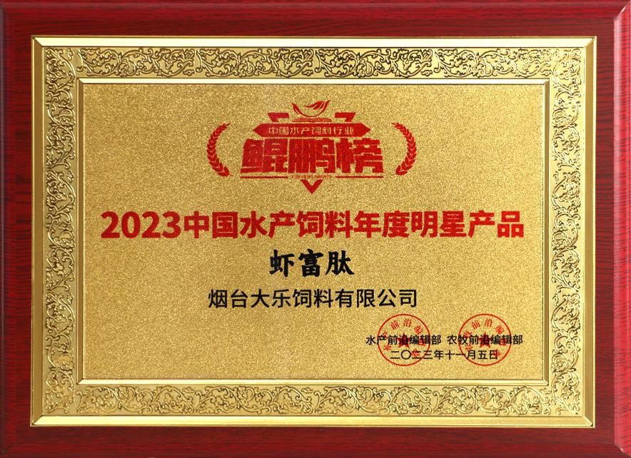 2023 C...